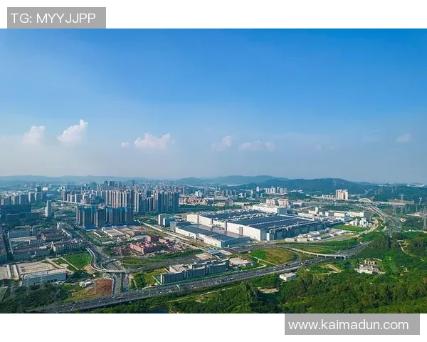 深圳乒乓球队的崛起之路与成长历程全景揭秘